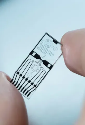 Cytometer chip