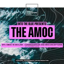 EP3: Could the AMOC COLLAPSE? Consequences and Misconceptions