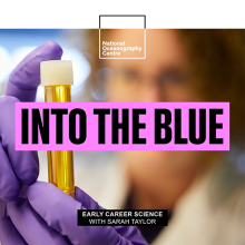 The Route to Becoming a Marine and Environmental Economist