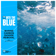 Marine Carbon Dioxide Removal: The Newest Climate Mitigation Technique