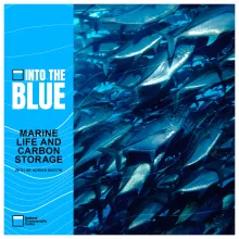 The Hidden Influence Marine Life Has on Our Climate