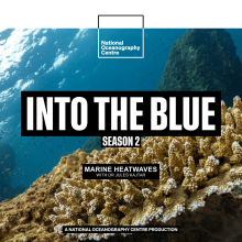 Why Are We Experiencing Marine Heatwaves and How Do We Tackle Them?