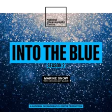 The Integral Part Marine Snow Plays in Fuelling the Ocean's Twilight Zone