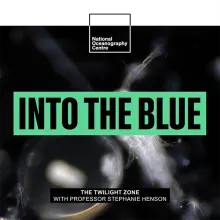 Does the LARGEST Animal Migration on Earth Take Place in the Ocean?