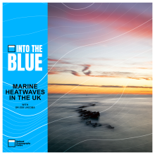 How Vital Is Research in Mitigating Effects of Marine Heatwaves in the UK