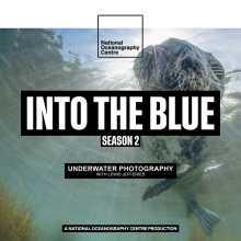  Photographer Lewis Jefferies On How To Take The Perfect Underwater Photo