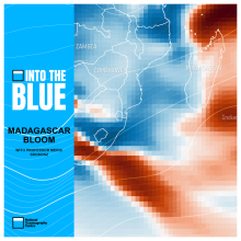 How an Unusual 'Bloom' Positively Affected Marine Life and the Atmosphere