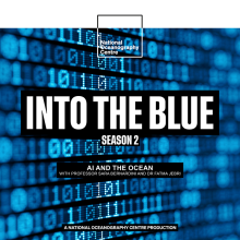  How Does Artificial Intelligence (AI) Help Us Understand Our Ocean?