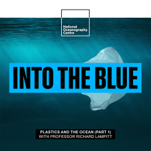 The Changes Needed to Reduce Plastic Pollution in Our Ocean