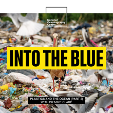 How Are Microplastics Transported Into the Deep Sea?