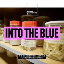  The Collection That Homes Weird and Wonderful Sea Creature Specimens 