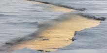 Antarctic Sea Ice