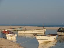 Climate change threatens Somalia's offshore fisheries, but coastal fleet may be spared, study finds