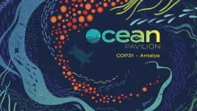 Protecting the deep sea - bringing ocean science to CBD COP17