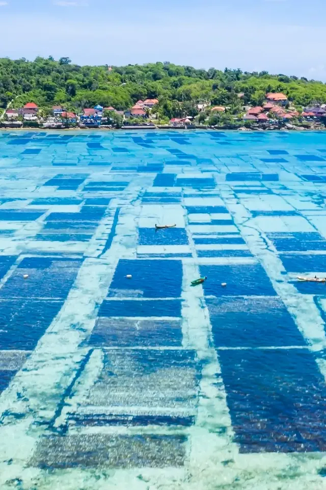 Fisheries & Aquaculture