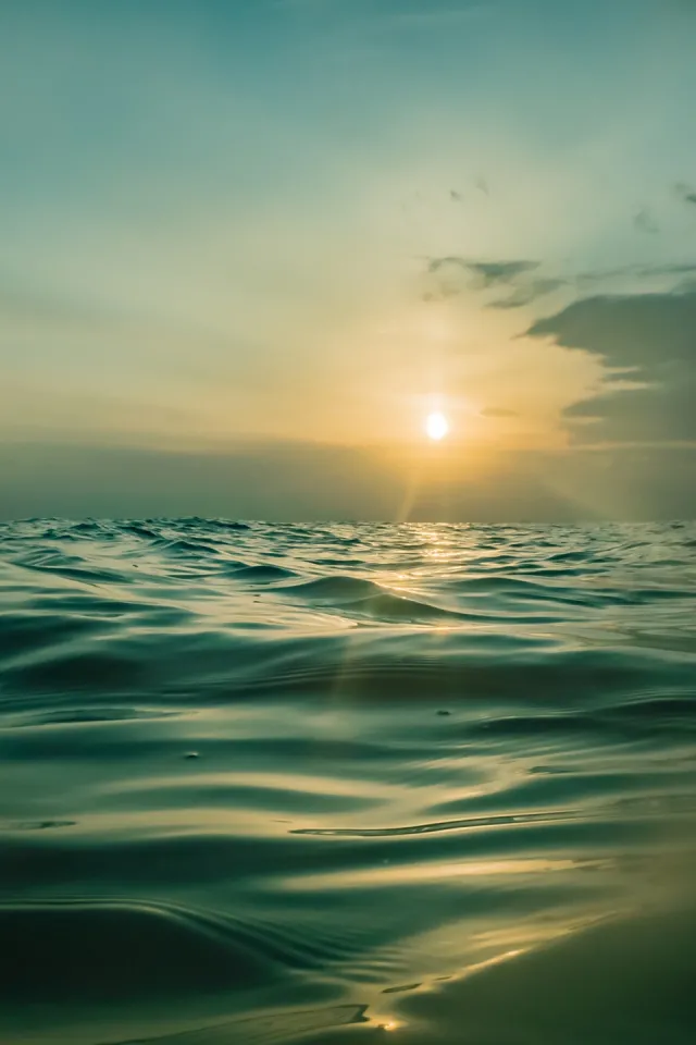 Dynamic Observations