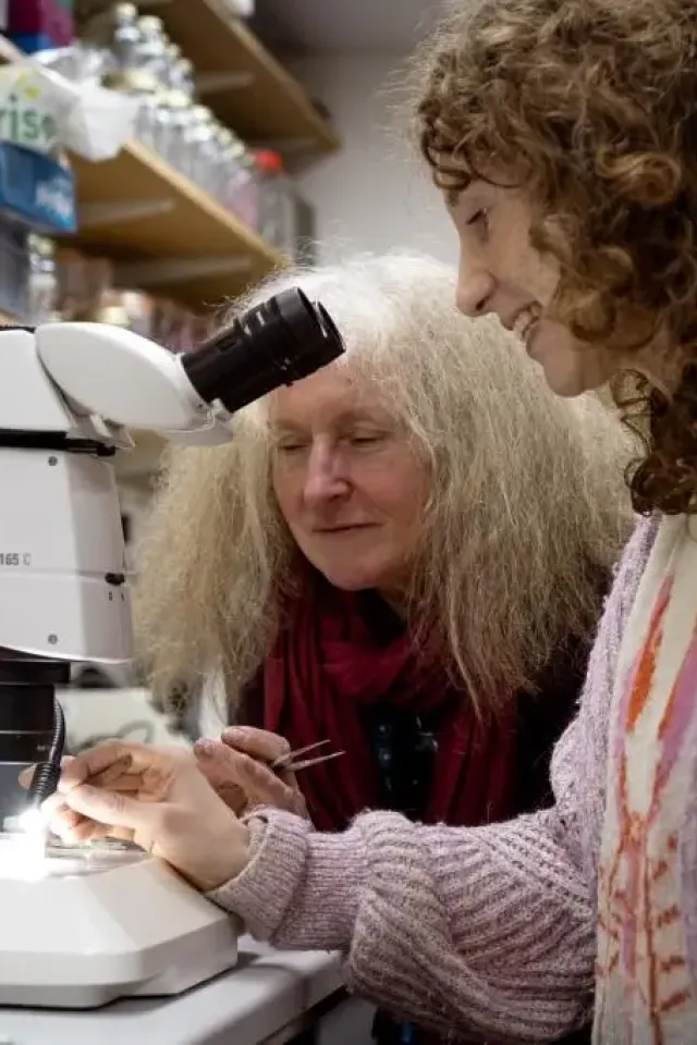 Amanda Serpell-Stevens