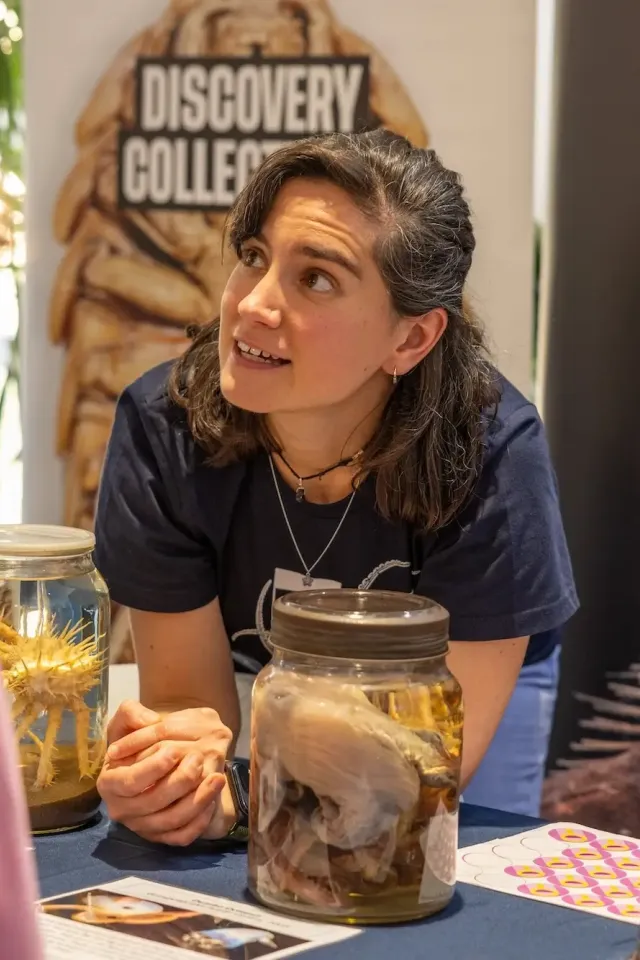 Georgina Valls Domedel