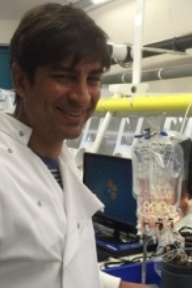 Profile photo