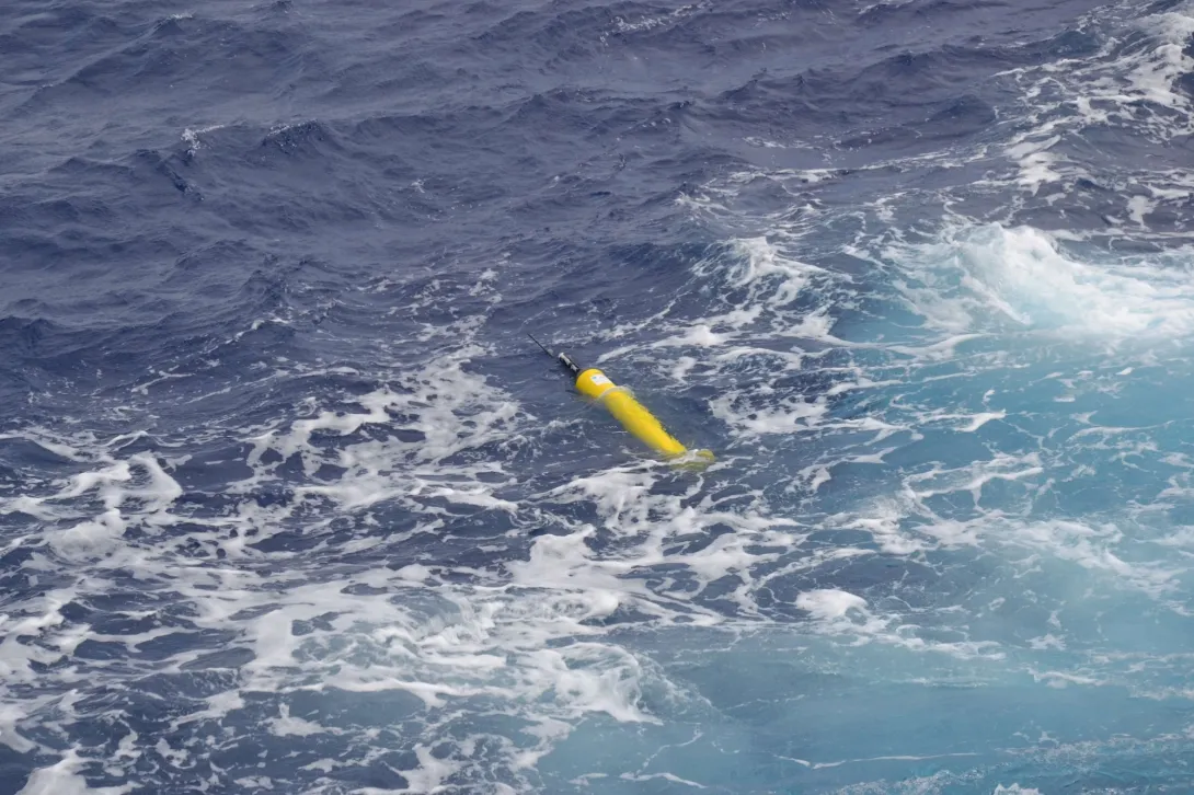 Observing Networks and Systems