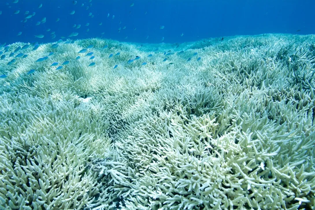 What would happen without this research?