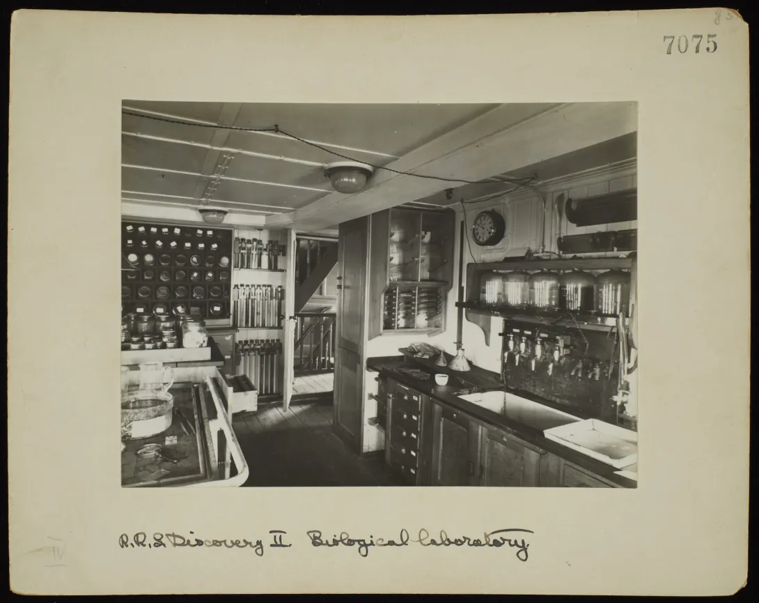 RRS Discovery II Biological Laboratory