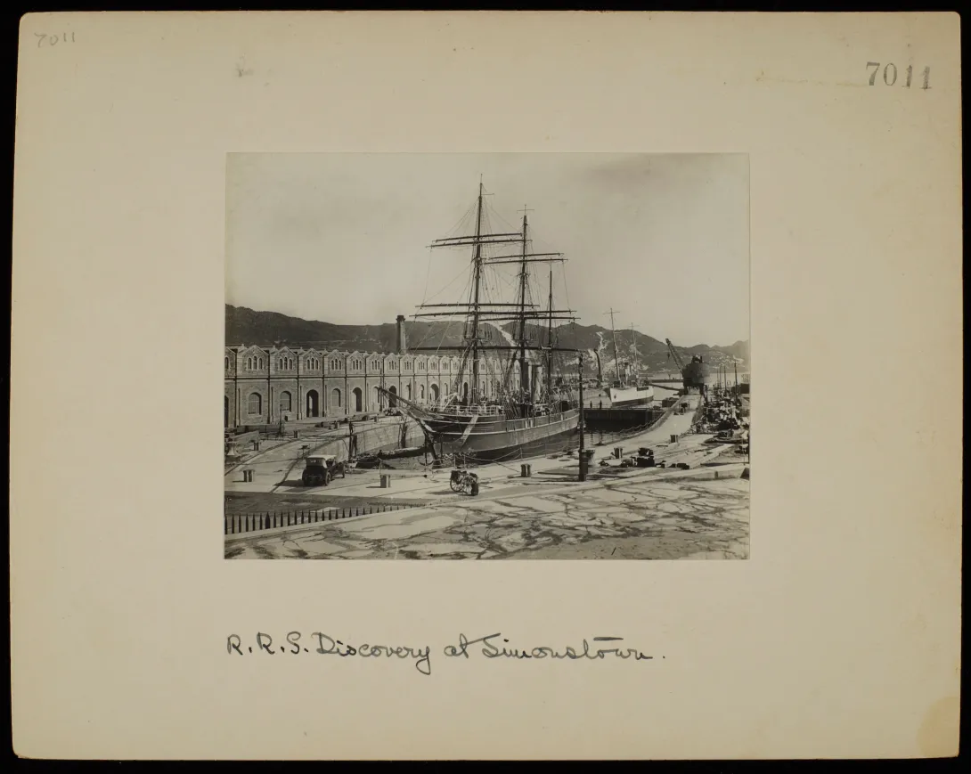 RRS Discovery at Simonstown