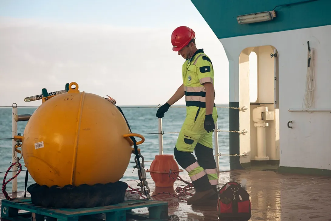 How do observations support marine ecosystems and biodiversity?