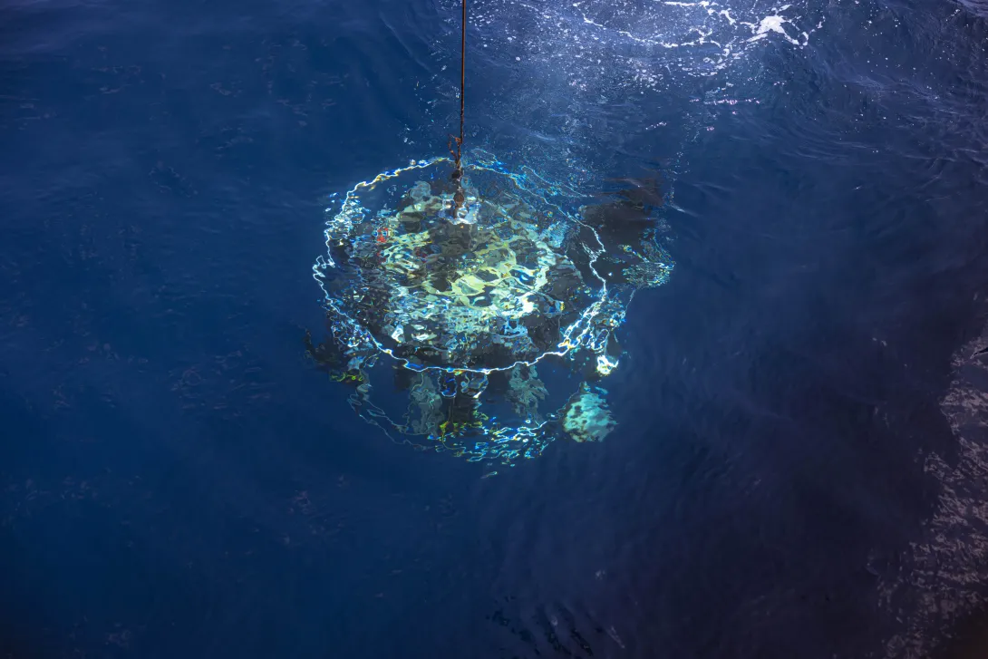 How are PFAS linked to other environmental threats?