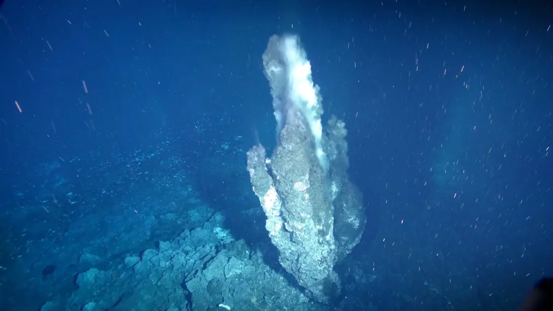 How does biodiversity vary across different ocean environments?