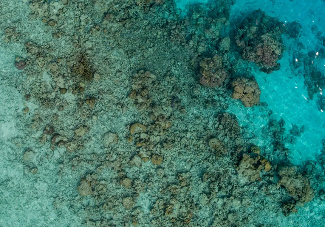 How do heavy metals behave in the marine environment?