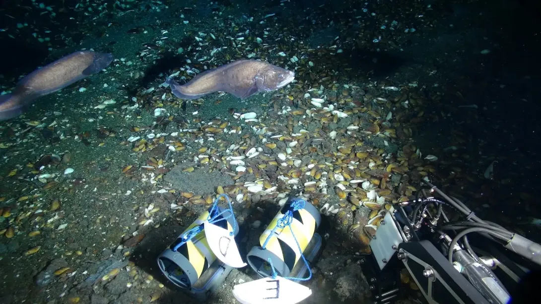 What other types of seismic events occur beneath the ocean?