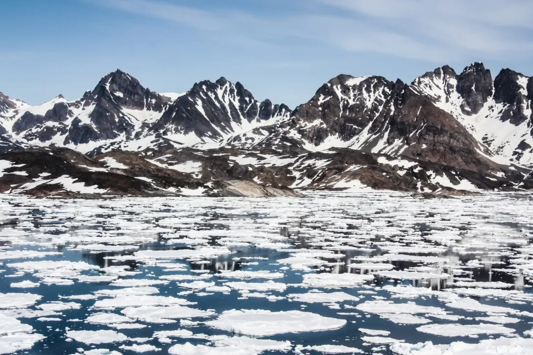 How does sea ice loss affect the Arctic Ocean?