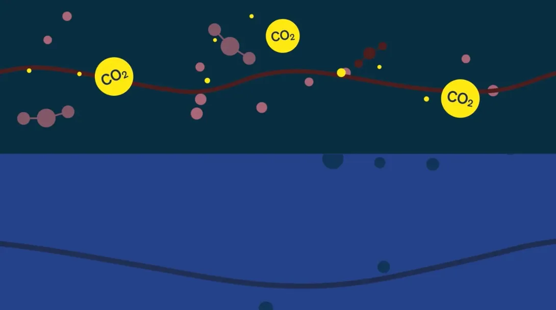 What Does the AMOC do?