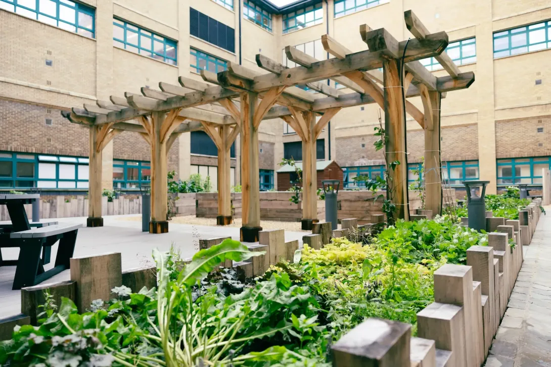 NOC's community garden in Southampton