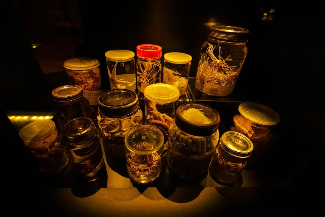 Discovery Collections