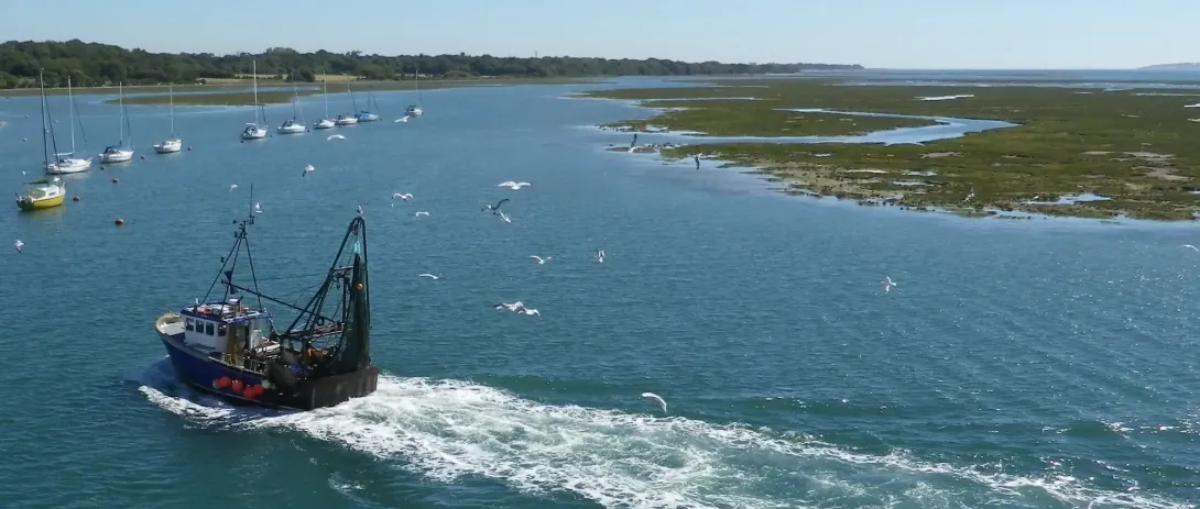 Compound flood hazard in the Mekong River Delta, Vietnam.