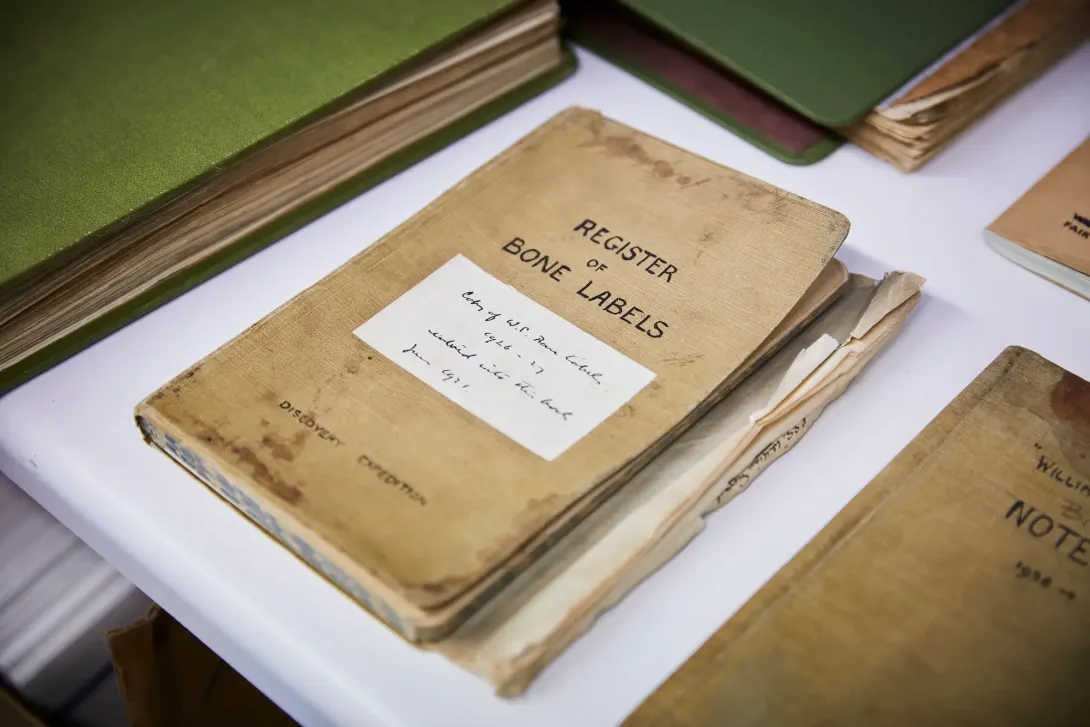 'Registry of bone labels' journal curated during a Discovery expedition