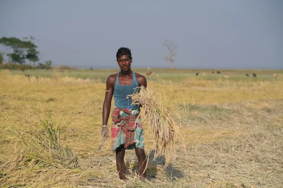 Creating a sustainable future for climate-vulnerable deltas