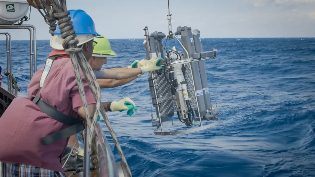 Division for Ocean Affairs and the Law of the Sea (DOALOS)