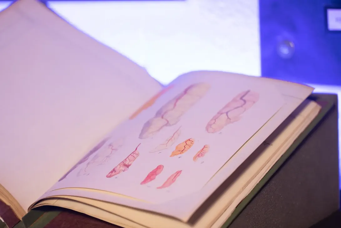 20th Century Scientists' Sketches of Southern Ocean Observations