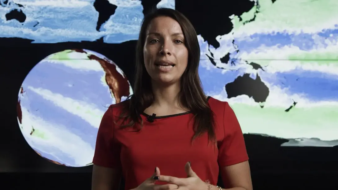 Modelling Ocean Biogeochemistry: The view from the bottom of the food chain