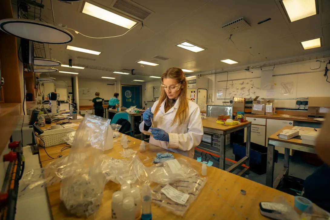 Scientists studying in one of RRS Discovery's laboratories