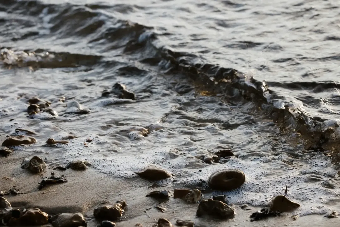 Discover the Ocean
