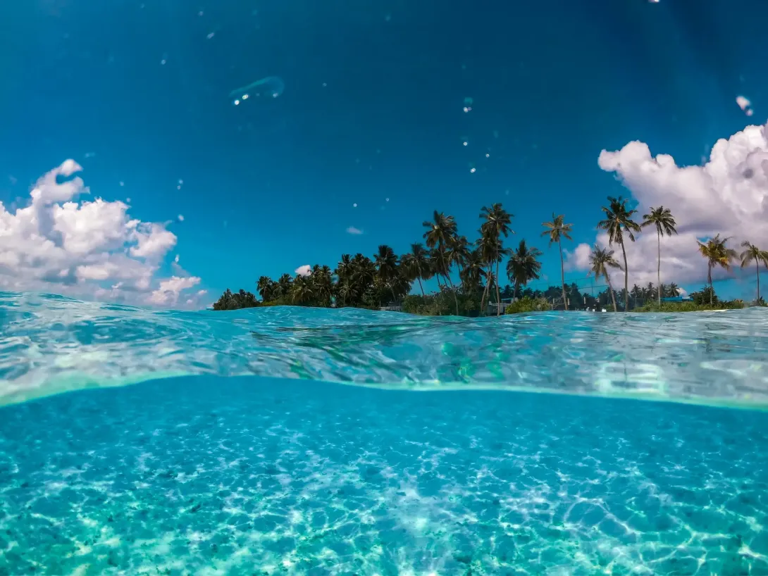 FOCUS (Future States of the Global Coastal Ocean)